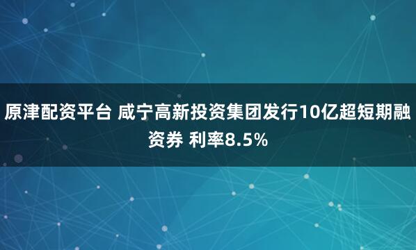 原津配资平台 咸宁高新投资集团发行10亿超短期融资券 利率8.5%